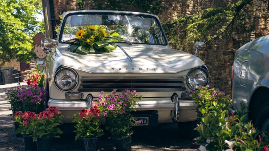 Kolorowanki do druku Elsa gratis w PDF do druku