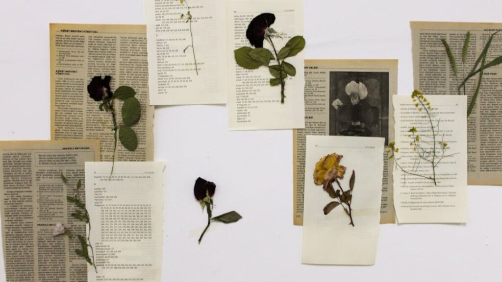 Kolorowanki Molang gratis w PDF do druku