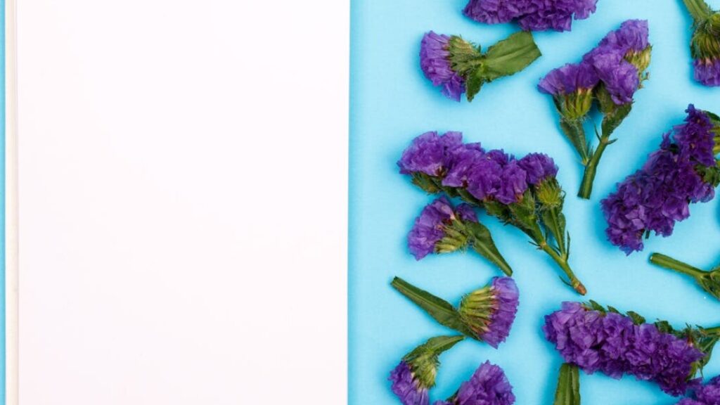 Kolorowanki kwiaty gratis w PDF do druku