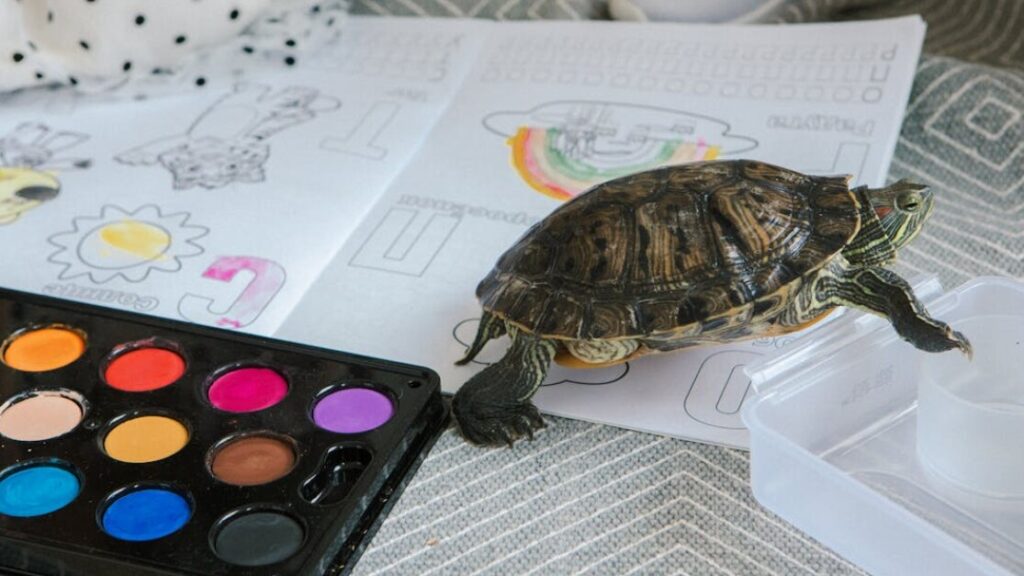 Kolorowanki lato gratis w PDF do druku