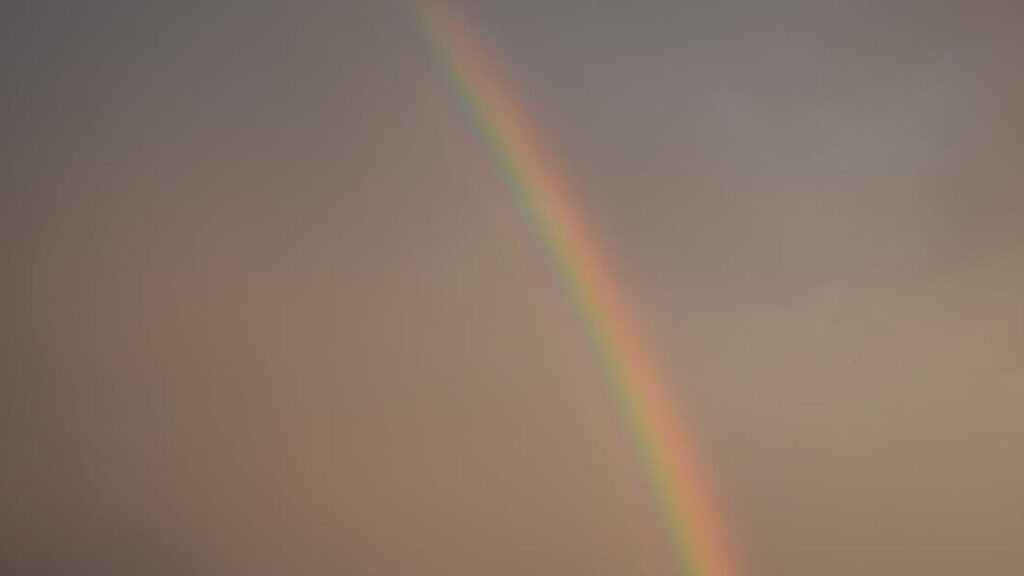 Rainbow kolorowanki gratis w PDF do druku