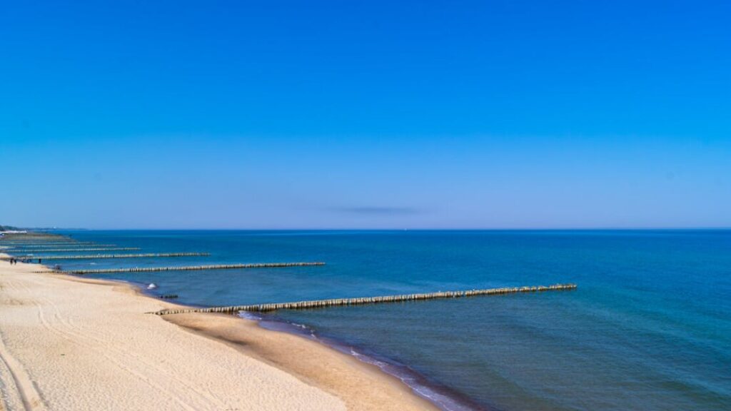 Kolorowanki zwierzęta morskie gratis w PDF do druku